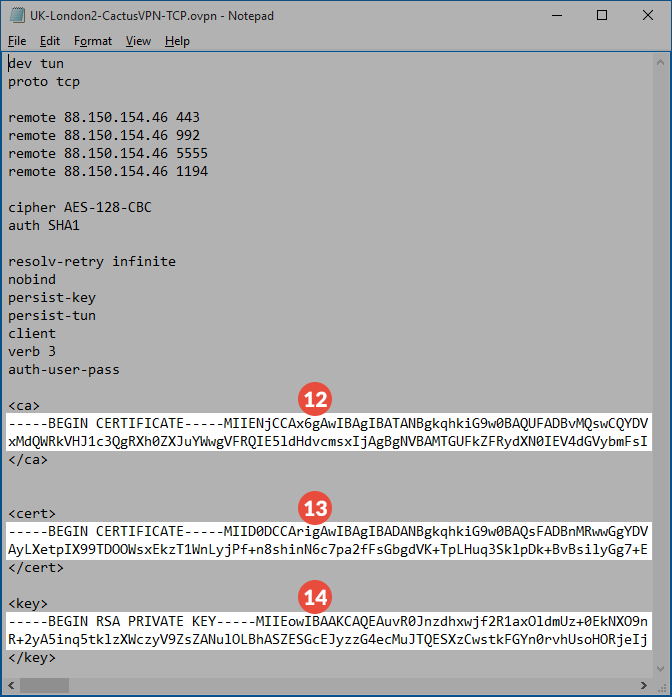 How to set up OpenVPN on DD-WRT Routers: Step 6