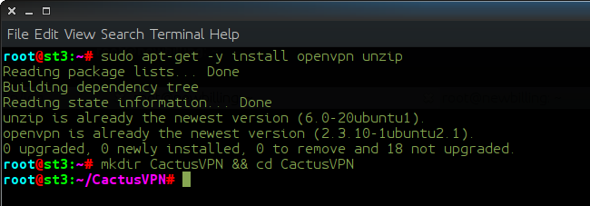 How To Set Up OpenVPN On Ubuntu From Command Line VPN Setup