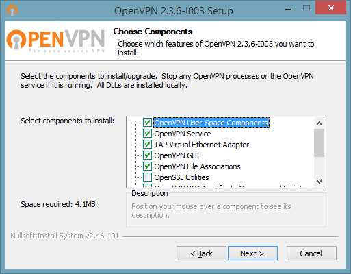 How to set up OpenVPN on Windows 10: Step 3